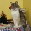 Отзыв от Вика Боброва